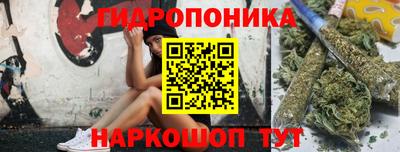 индика Шелехов