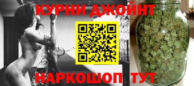 индика Шелехов