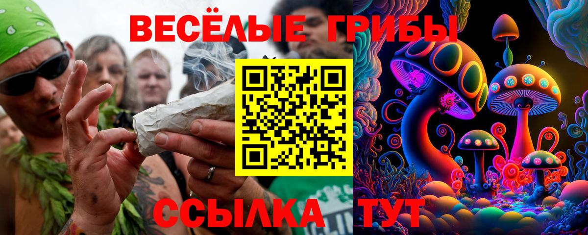 Великий Устюг  Галлюциногенные грибы мицелий  Вход с VPN  Псилоцибиновые грибы прущие грибы 