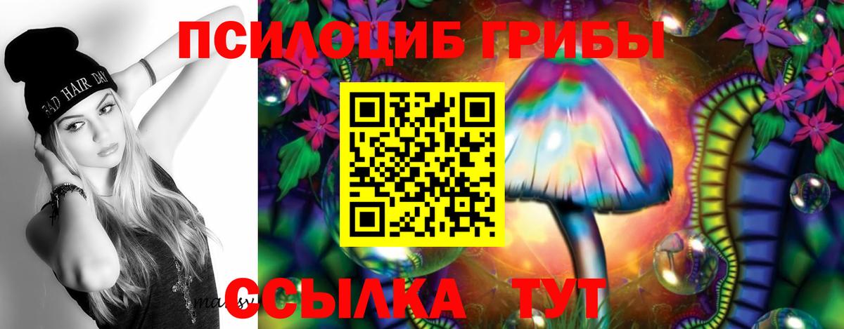 Псилоцибиновые грибы GOLDEN TEACHER Великий Устюг