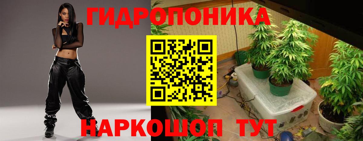 Бошки Шишки Amnesia Великий Устюг